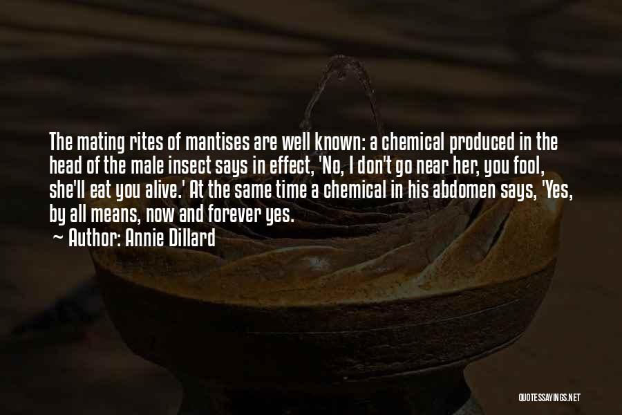 Annie Dillard Quotes: The Mating Rites Of Mantises Are Well Known: A Chemical Produced In The Head Of The Male Insect Says In