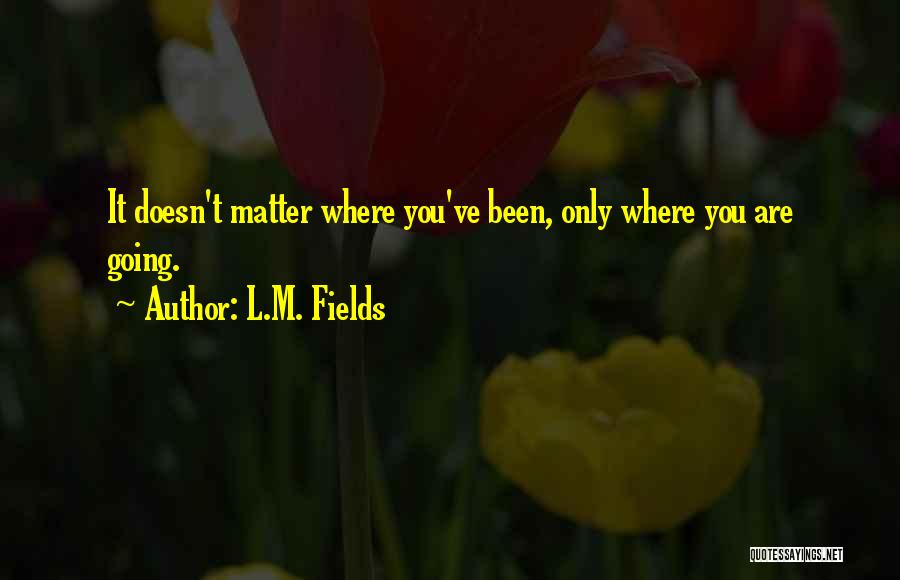 L.M. Fields Quotes: It Doesn't Matter Where You've Been, Only Where You Are Going.