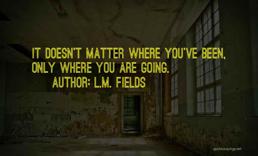 L.M. Fields Quotes: It Doesn't Matter Where You've Been, Only Where You Are Going.