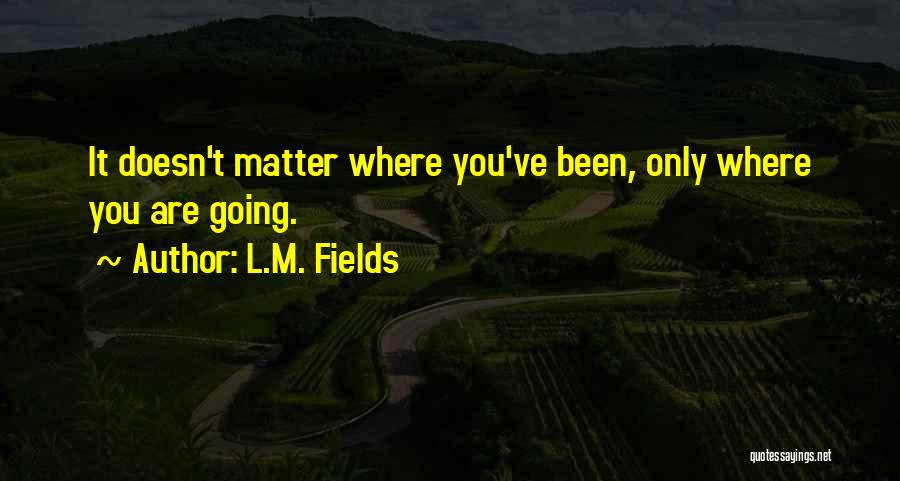 L.M. Fields Quotes: It Doesn't Matter Where You've Been, Only Where You Are Going.