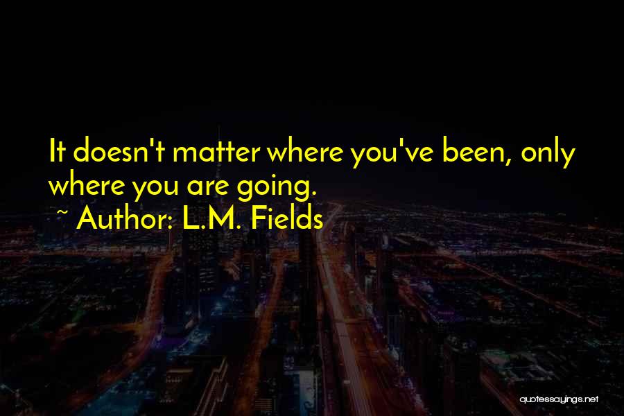 L.M. Fields Quotes: It Doesn't Matter Where You've Been, Only Where You Are Going.
