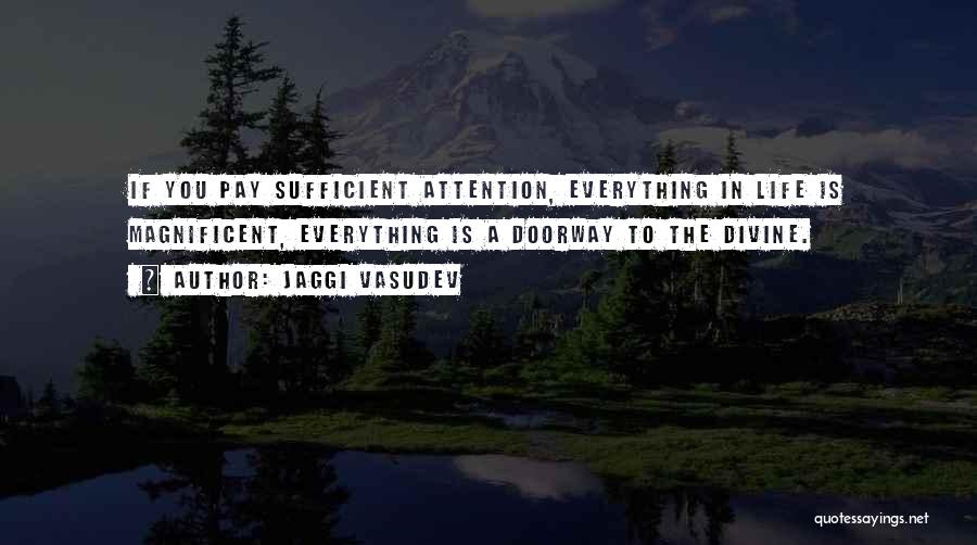 Jaggi Vasudev Quotes: If You Pay Sufficient Attention, Everything In Life Is Magnificent, Everything Is A Doorway To The Divine.