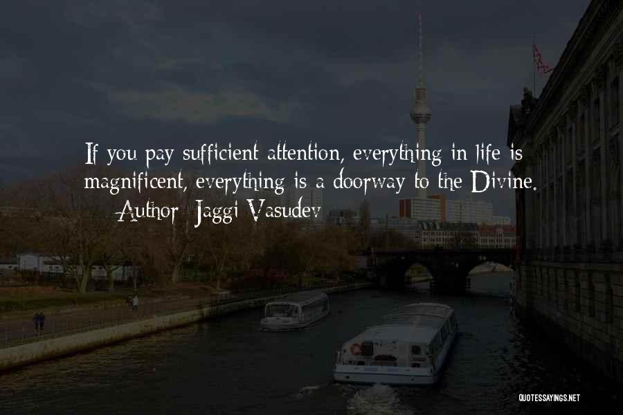 Jaggi Vasudev Quotes: If You Pay Sufficient Attention, Everything In Life Is Magnificent, Everything Is A Doorway To The Divine.