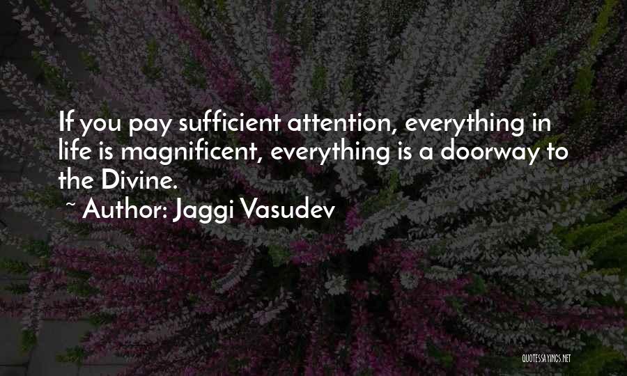 Jaggi Vasudev Quotes: If You Pay Sufficient Attention, Everything In Life Is Magnificent, Everything Is A Doorway To The Divine.