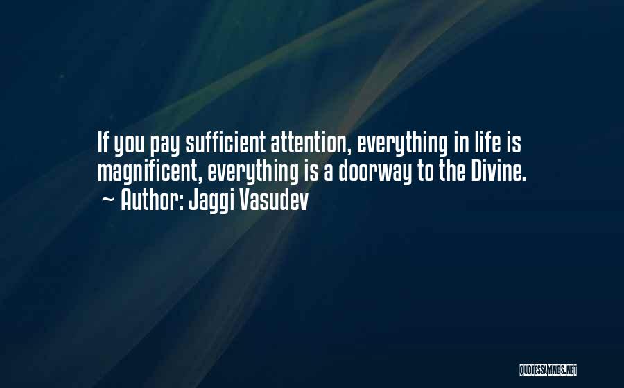 Jaggi Vasudev Quotes: If You Pay Sufficient Attention, Everything In Life Is Magnificent, Everything Is A Doorway To The Divine.