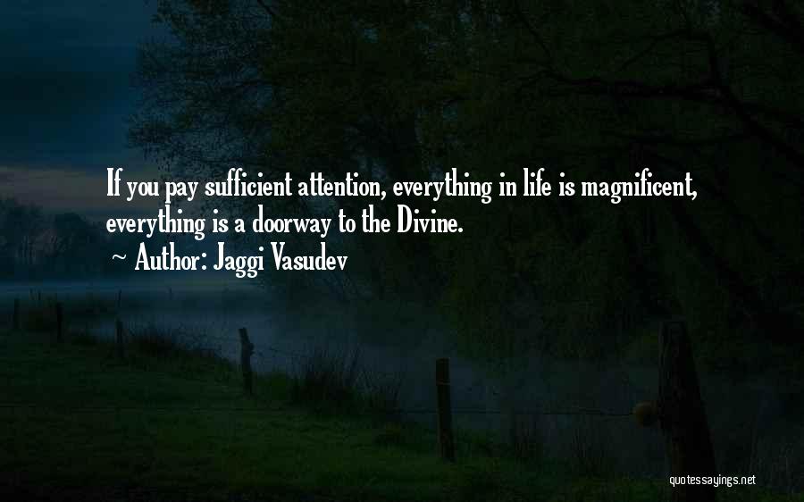 Jaggi Vasudev Quotes: If You Pay Sufficient Attention, Everything In Life Is Magnificent, Everything Is A Doorway To The Divine.