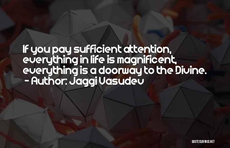 Jaggi Vasudev Quotes: If You Pay Sufficient Attention, Everything In Life Is Magnificent, Everything Is A Doorway To The Divine.