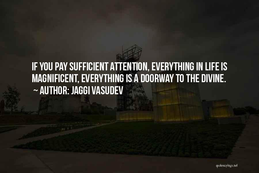 Jaggi Vasudev Quotes: If You Pay Sufficient Attention, Everything In Life Is Magnificent, Everything Is A Doorway To The Divine.