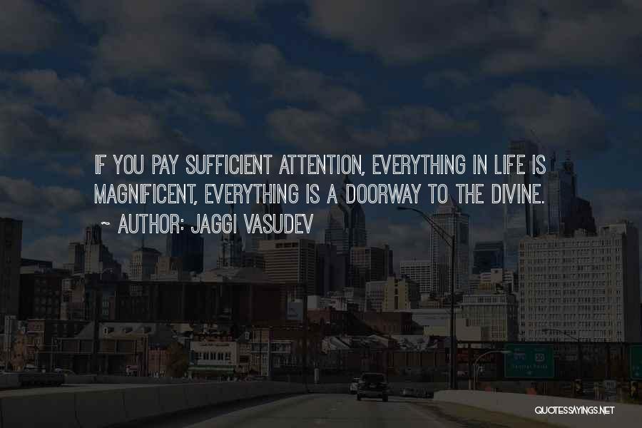 Jaggi Vasudev Quotes: If You Pay Sufficient Attention, Everything In Life Is Magnificent, Everything Is A Doorway To The Divine.