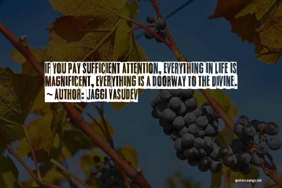 Jaggi Vasudev Quotes: If You Pay Sufficient Attention, Everything In Life Is Magnificent, Everything Is A Doorway To The Divine.