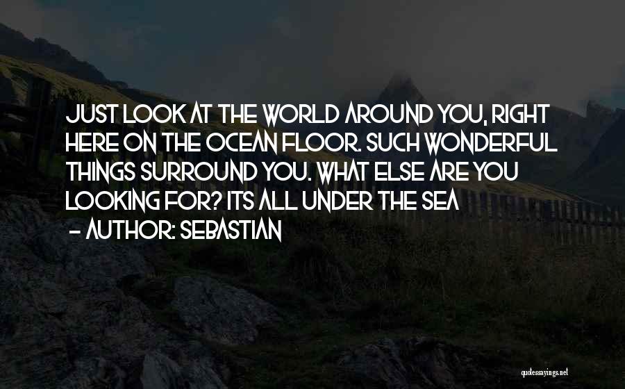 SebastiAn Quotes: Just Look At The World Around You, Right Here On The Ocean Floor. Such Wonderful Things Surround You. What Else