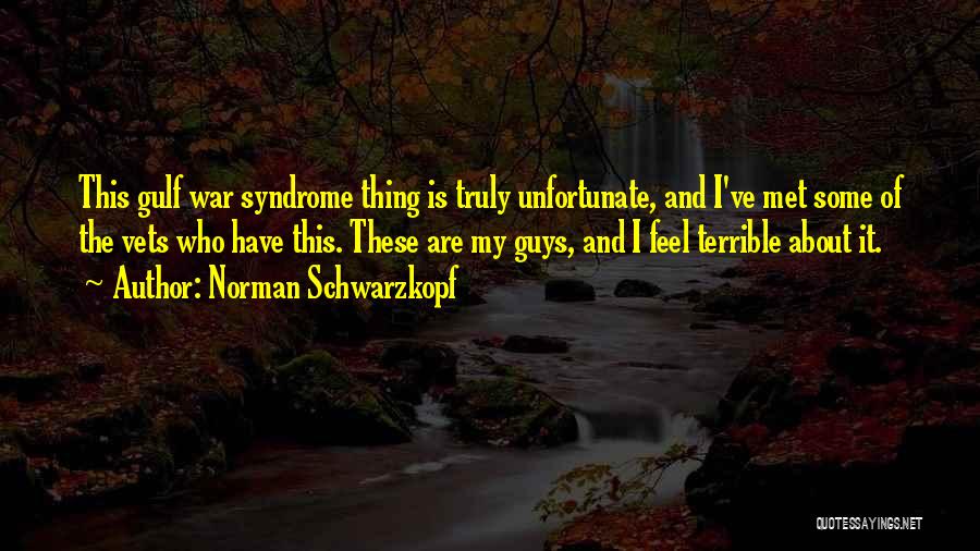 Norman Schwarzkopf Quotes: This Gulf War Syndrome Thing Is Truly Unfortunate, And I've Met Some Of The Vets Who Have This. These Are