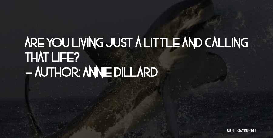 Annie Dillard Quotes: Are You Living Just A Little And Calling That Life?