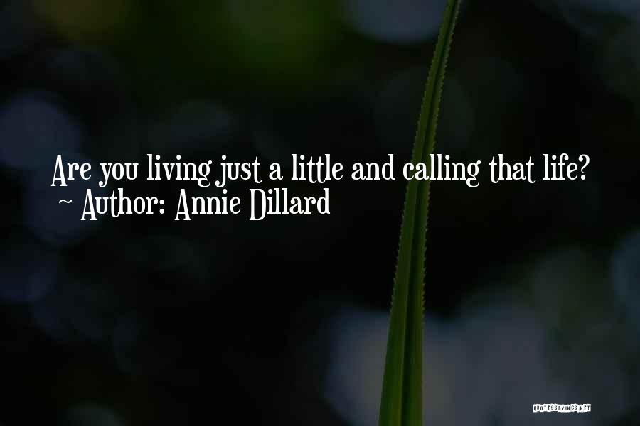 Annie Dillard Quotes: Are You Living Just A Little And Calling That Life?