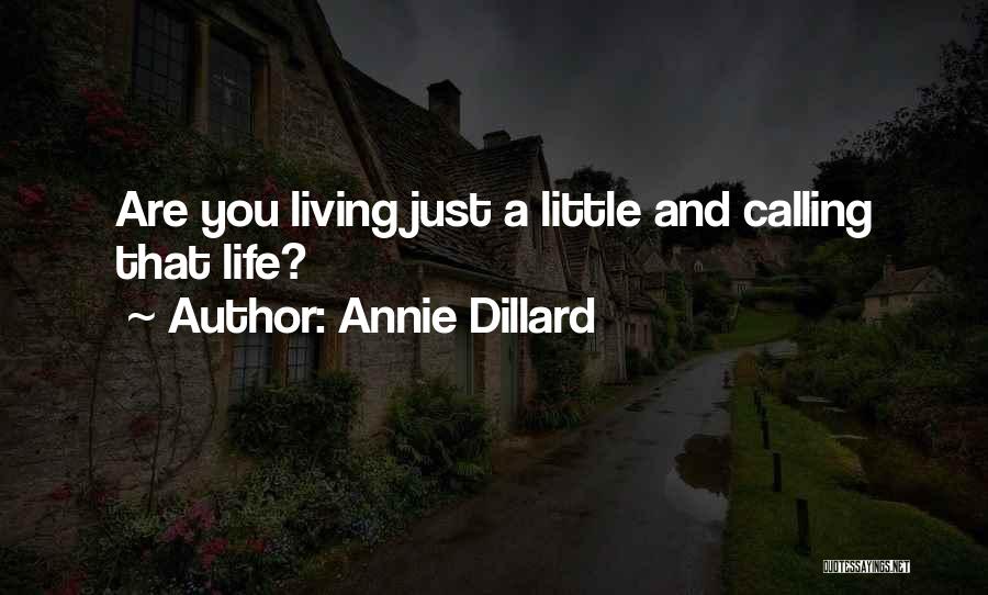 Annie Dillard Quotes: Are You Living Just A Little And Calling That Life?