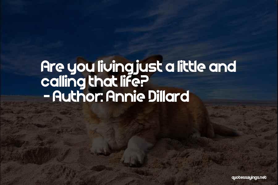 Annie Dillard Quotes: Are You Living Just A Little And Calling That Life?