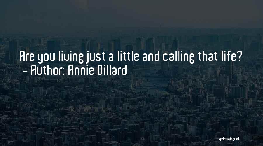 Annie Dillard Quotes: Are You Living Just A Little And Calling That Life?
