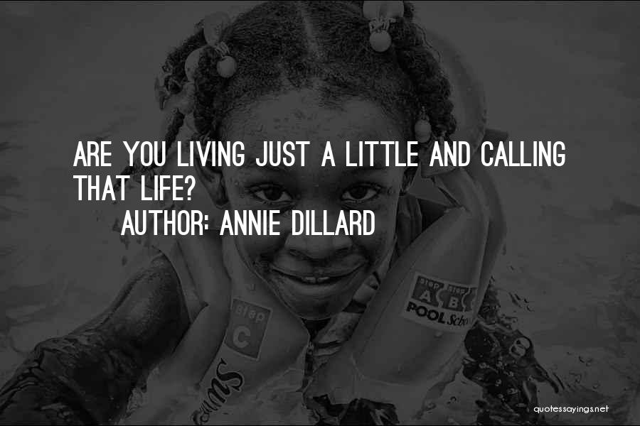 Annie Dillard Quotes: Are You Living Just A Little And Calling That Life?
