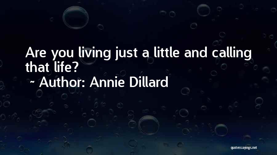Annie Dillard Quotes: Are You Living Just A Little And Calling That Life?