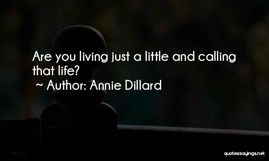 Annie Dillard Quotes: Are You Living Just A Little And Calling That Life?