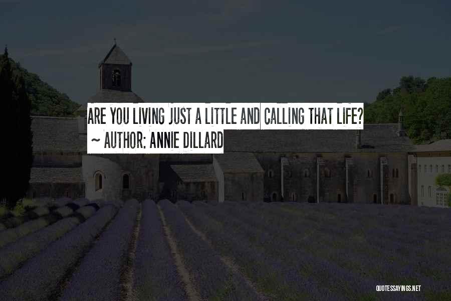 Annie Dillard Quotes: Are You Living Just A Little And Calling That Life?