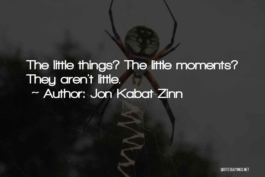 Jon Kabat-Zinn Quotes: The Little Things? The Little Moments? They Aren't Little.