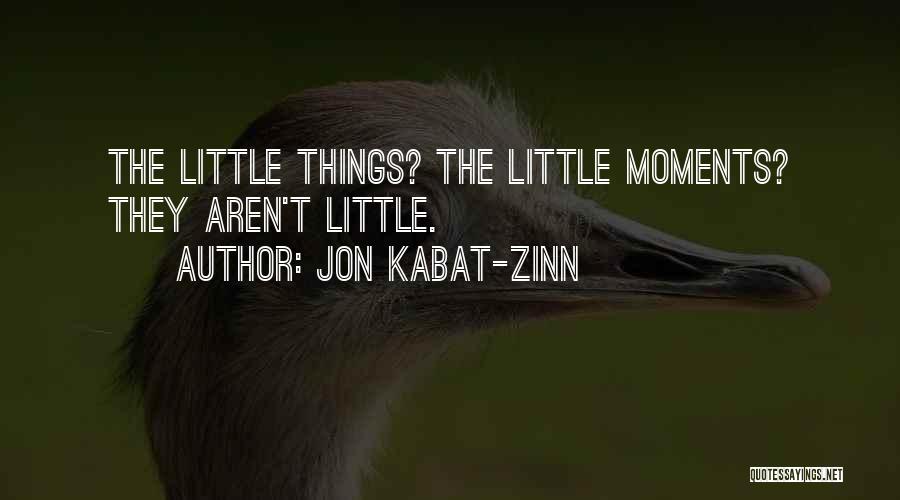 Jon Kabat-Zinn Quotes: The Little Things? The Little Moments? They Aren't Little.