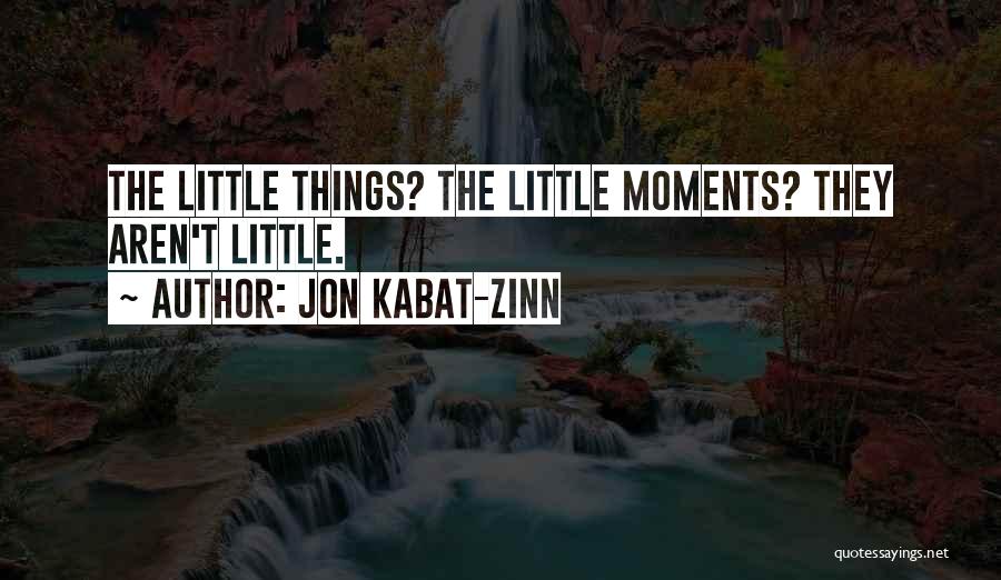 Jon Kabat-Zinn Quotes: The Little Things? The Little Moments? They Aren't Little.