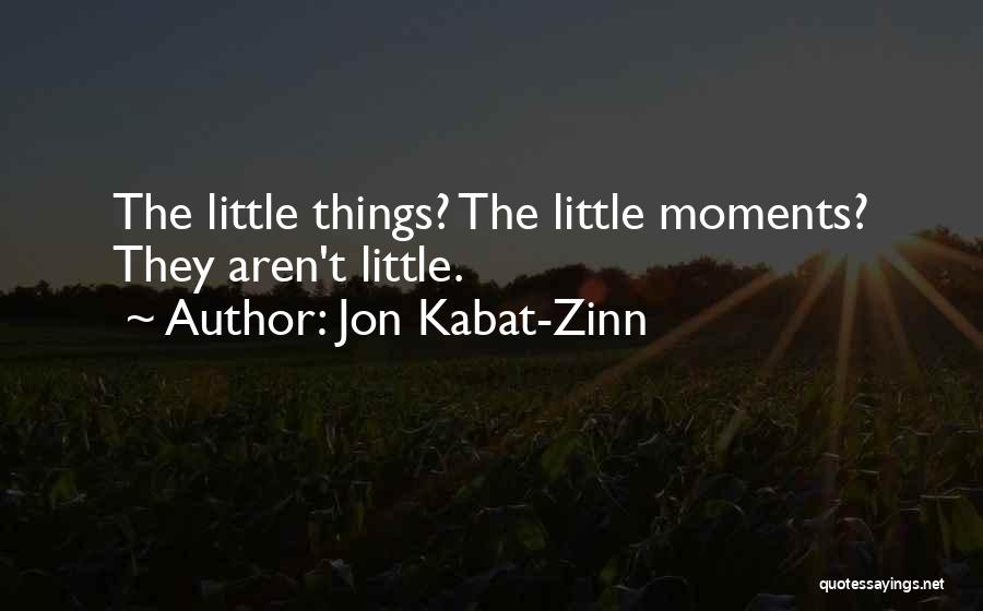 Jon Kabat-Zinn Quotes: The Little Things? The Little Moments? They Aren't Little.