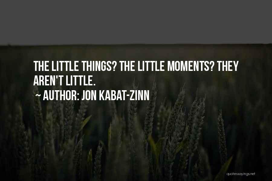 Jon Kabat-Zinn Quotes: The Little Things? The Little Moments? They Aren't Little.