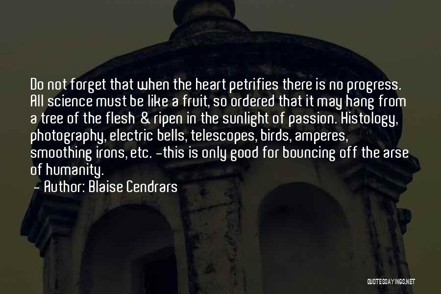 Blaise Cendrars Quotes: Do Not Forget That When The Heart Petrifies There Is No Progress. All Science Must Be Like A Fruit, So