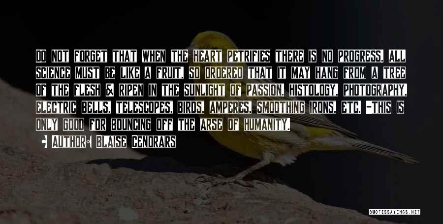 Blaise Cendrars Quotes: Do Not Forget That When The Heart Petrifies There Is No Progress. All Science Must Be Like A Fruit, So