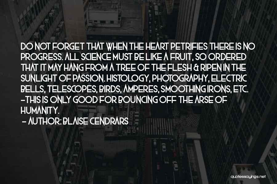 Blaise Cendrars Quotes: Do Not Forget That When The Heart Petrifies There Is No Progress. All Science Must Be Like A Fruit, So