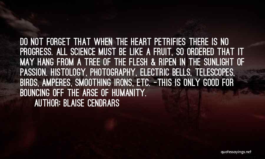 Blaise Cendrars Quotes: Do Not Forget That When The Heart Petrifies There Is No Progress. All Science Must Be Like A Fruit, So