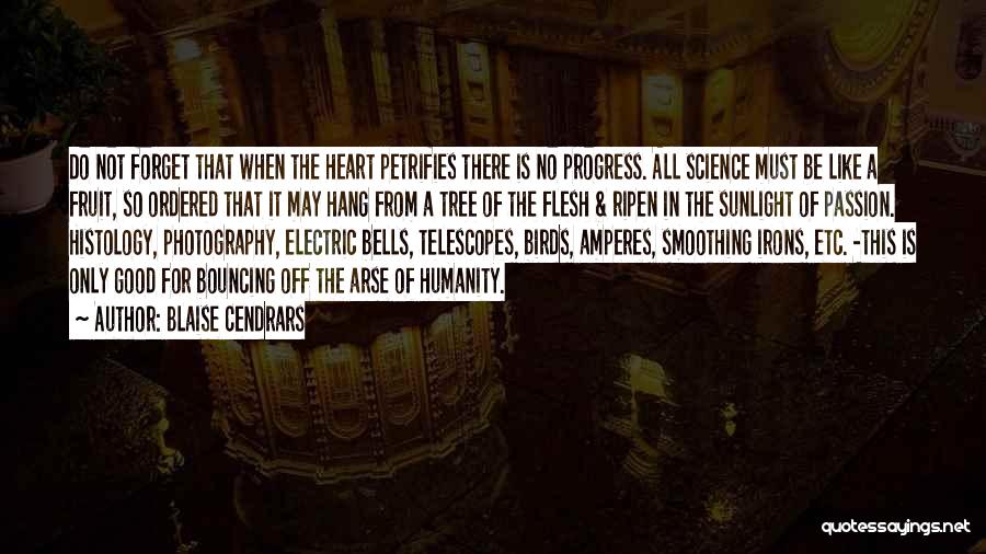 Blaise Cendrars Quotes: Do Not Forget That When The Heart Petrifies There Is No Progress. All Science Must Be Like A Fruit, So