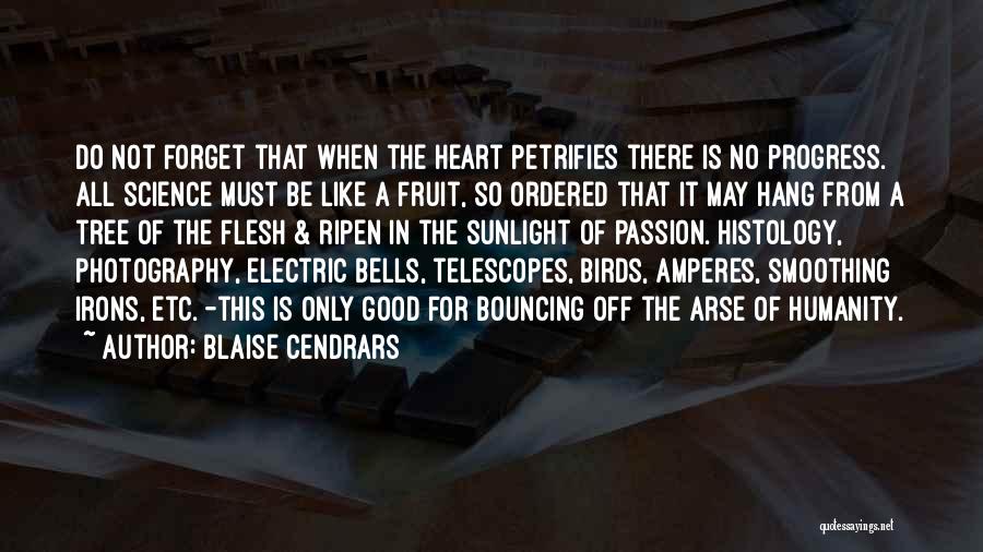 Blaise Cendrars Quotes: Do Not Forget That When The Heart Petrifies There Is No Progress. All Science Must Be Like A Fruit, So