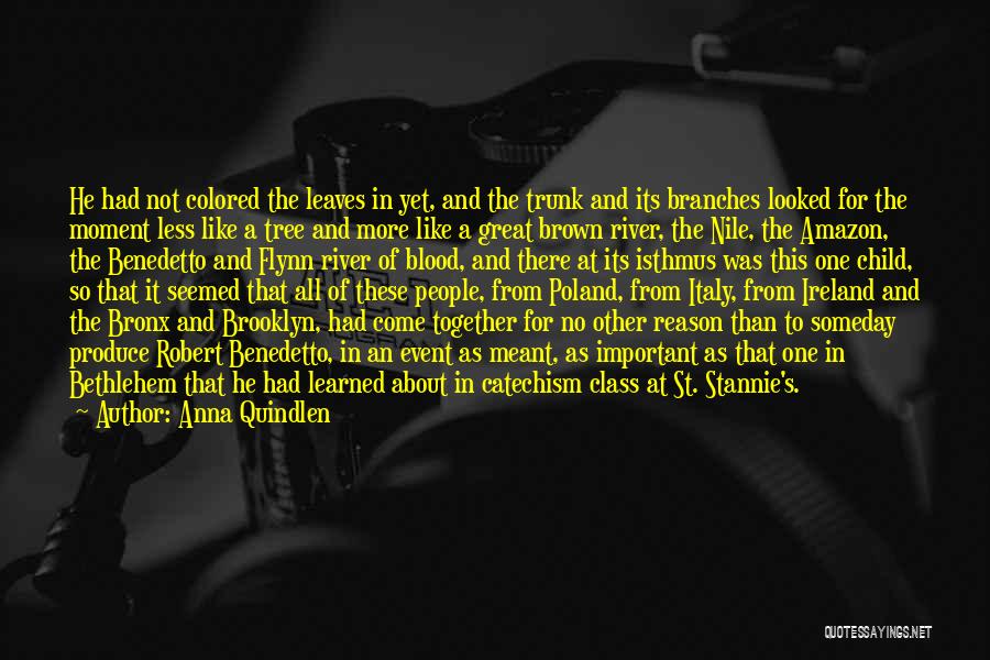 Anna Quindlen Quotes: He Had Not Colored The Leaves In Yet, And The Trunk And Its Branches Looked For The Moment Less Like