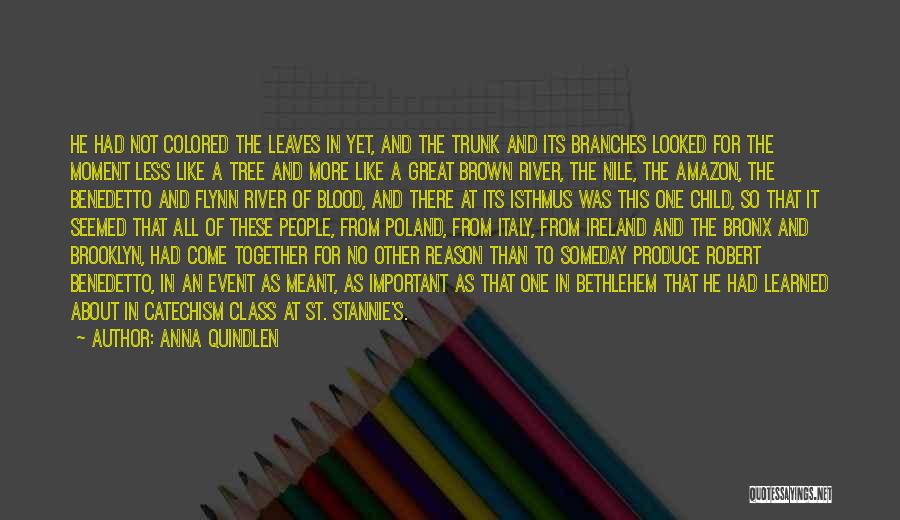 Anna Quindlen Quotes: He Had Not Colored The Leaves In Yet, And The Trunk And Its Branches Looked For The Moment Less Like