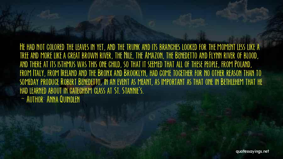 Anna Quindlen Quotes: He Had Not Colored The Leaves In Yet, And The Trunk And Its Branches Looked For The Moment Less Like