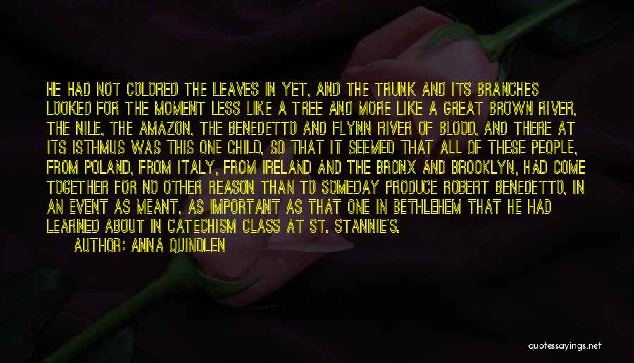 Anna Quindlen Quotes: He Had Not Colored The Leaves In Yet, And The Trunk And Its Branches Looked For The Moment Less Like