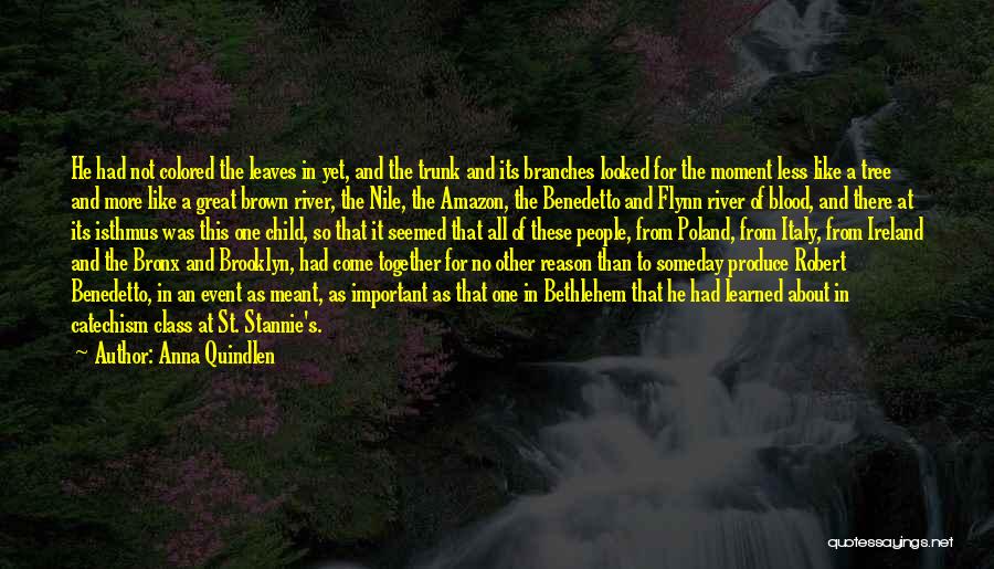 Anna Quindlen Quotes: He Had Not Colored The Leaves In Yet, And The Trunk And Its Branches Looked For The Moment Less Like