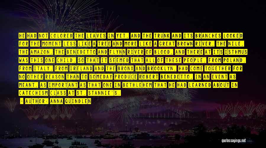 Anna Quindlen Quotes: He Had Not Colored The Leaves In Yet, And The Trunk And Its Branches Looked For The Moment Less Like