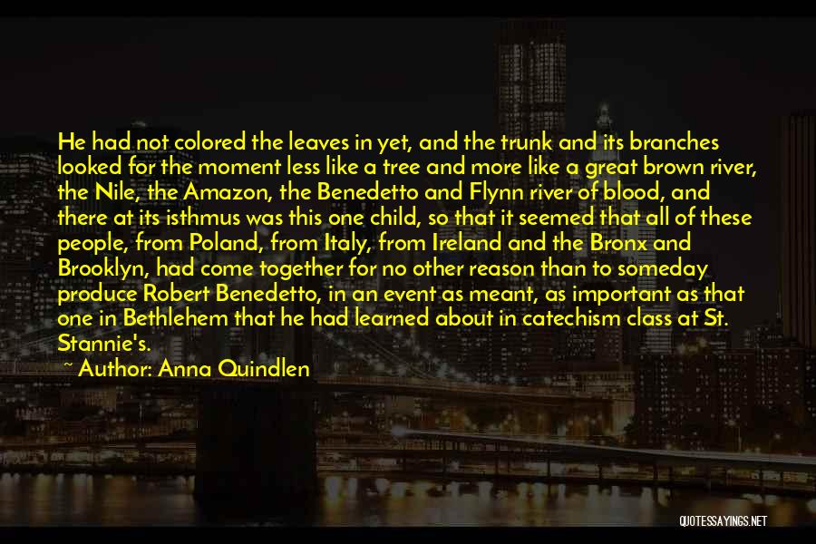 Anna Quindlen Quotes: He Had Not Colored The Leaves In Yet, And The Trunk And Its Branches Looked For The Moment Less Like