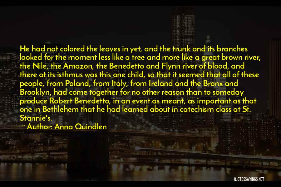 Anna Quindlen Quotes: He Had Not Colored The Leaves In Yet, And The Trunk And Its Branches Looked For The Moment Less Like