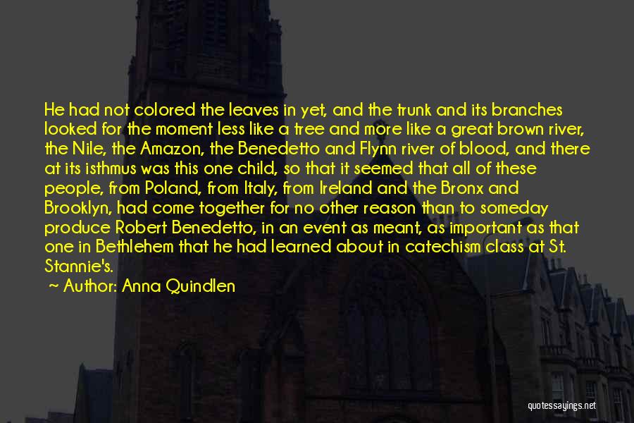 Anna Quindlen Quotes: He Had Not Colored The Leaves In Yet, And The Trunk And Its Branches Looked For The Moment Less Like