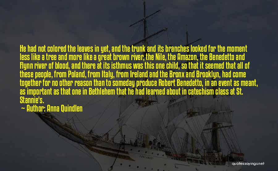 Anna Quindlen Quotes: He Had Not Colored The Leaves In Yet, And The Trunk And Its Branches Looked For The Moment Less Like