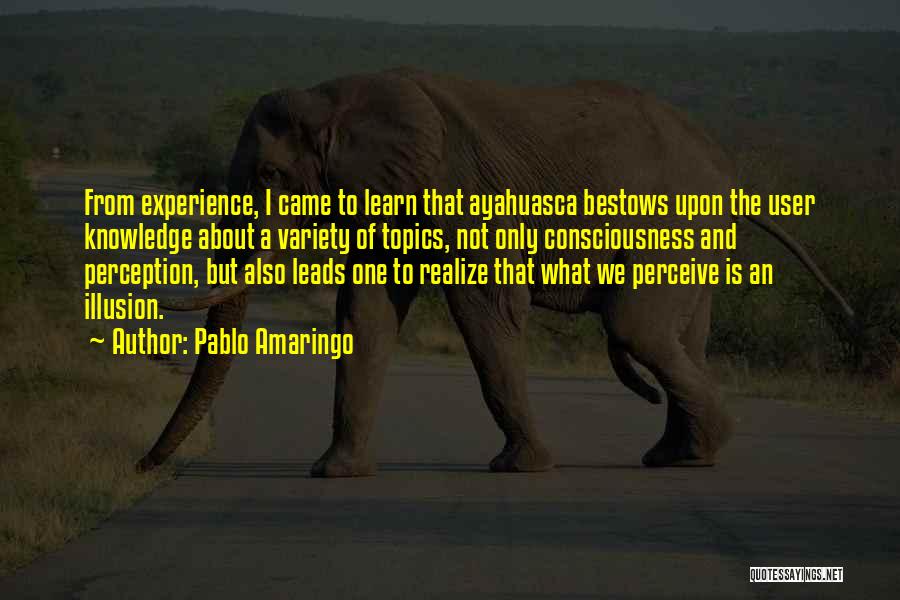 Pablo Amaringo Quotes: From Experience, I Came To Learn That Ayahuasca Bestows Upon The User Knowledge About A Variety Of Topics, Not Only