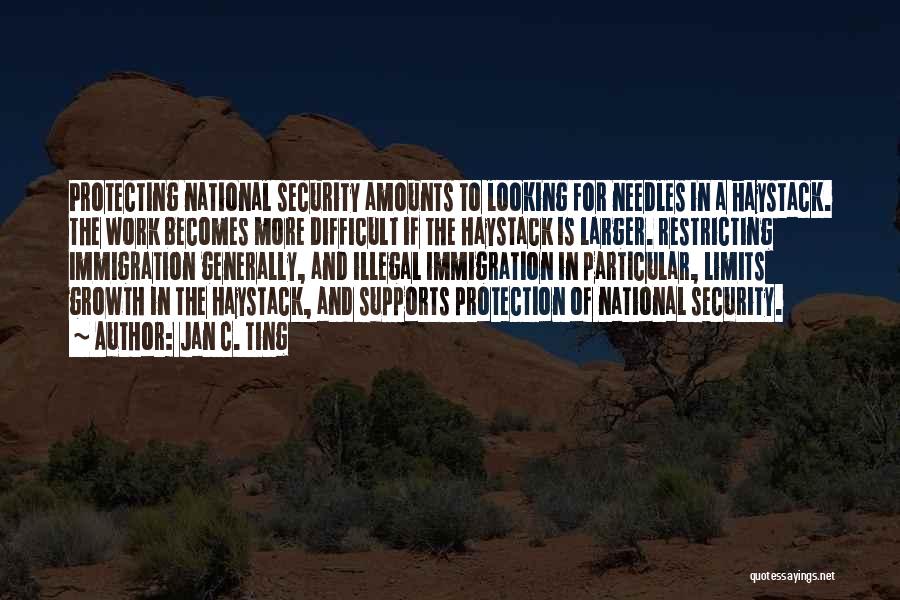 Jan C. Ting Quotes: Protecting National Security Amounts To Looking For Needles In A Haystack. The Work Becomes More Difficult If The Haystack Is