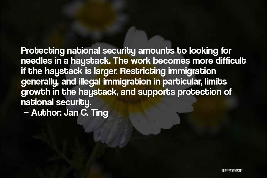 Jan C. Ting Quotes: Protecting National Security Amounts To Looking For Needles In A Haystack. The Work Becomes More Difficult If The Haystack Is