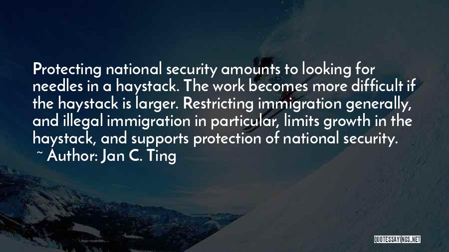 Jan C. Ting Quotes: Protecting National Security Amounts To Looking For Needles In A Haystack. The Work Becomes More Difficult If The Haystack Is